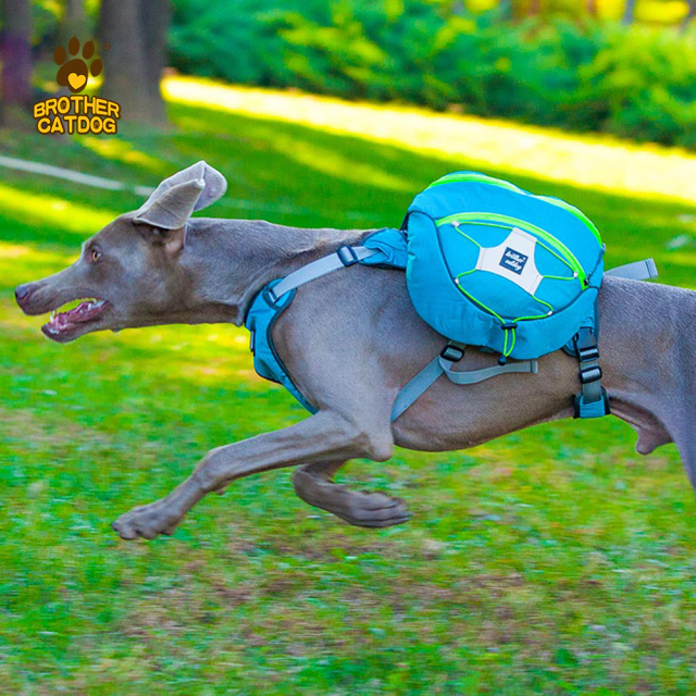 Dog Backpacks / Dog Carriers / Dog backpack for large dogs / Dog Backpack For Large Dogs