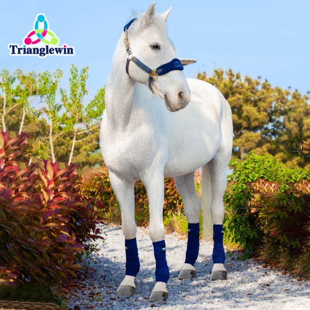 horse's legs Bandages & Leg Wraps  Equestrian Equipment Manufacturer & Supplier