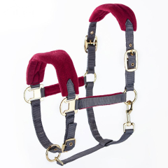 First Choice Horse Supplies  Horse Wear Horse Halters