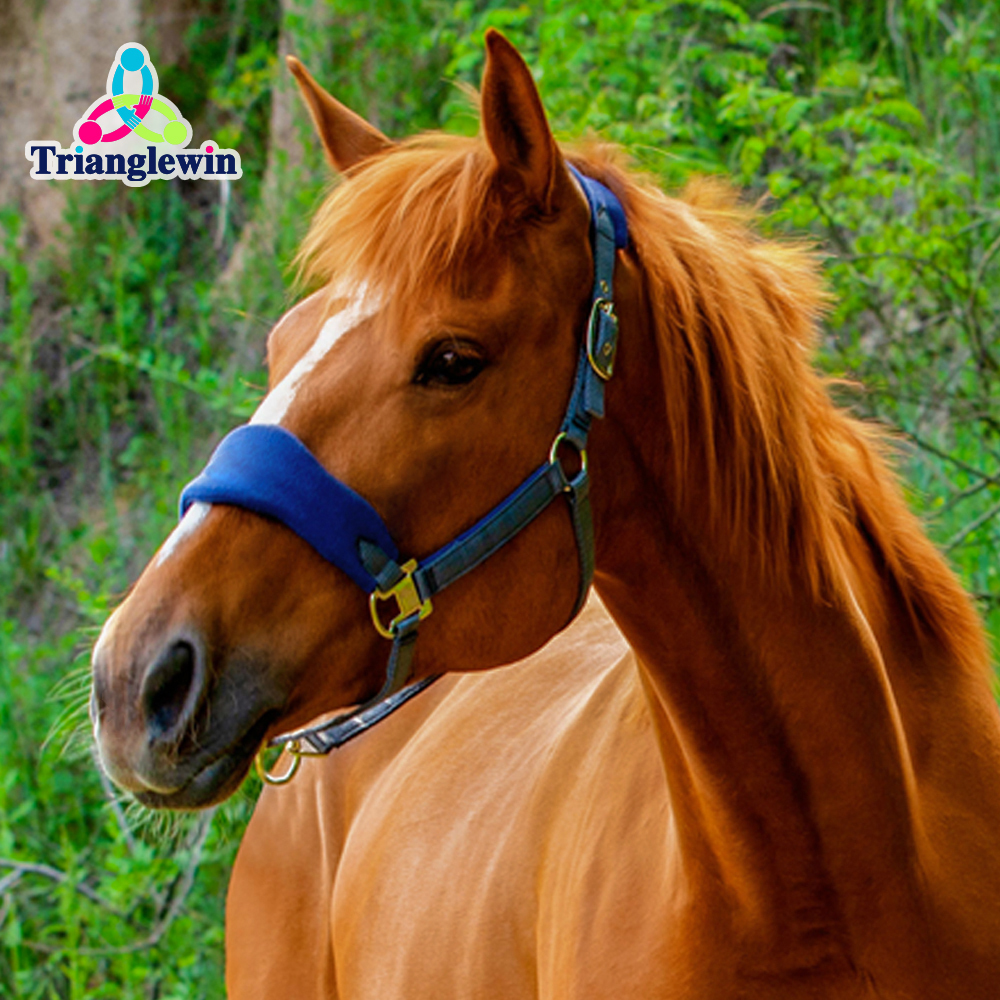 High Quality Customized Logo Horse Halter / Headcollars For Horses
