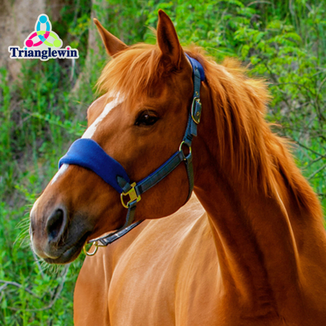 Horse Riding Supply  /  Luxury Equestrian Equipment Custom horse Halters