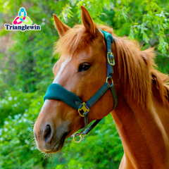 Wholesale Customize Horse Halters / Equestrian Equine Products  Customize Equip