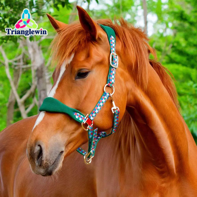 Custom Horse Halters  Personalized Horse Halters  Equestrian Supplies