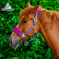 Halters Supplier Horse Harness Equestrian Equipment Manufacturer & Factory Wholesale Horsewear