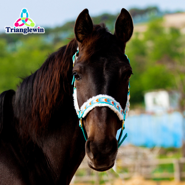 Halters & Headcollars For Horses horse halter size guide Horse head wear Outdoor Supplies Wholesale horse supplies