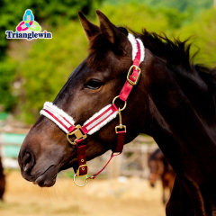 Halters & Headcollars for horses / Full horse halter Equestrian halters / Horse headcollars Horse Care Supplies