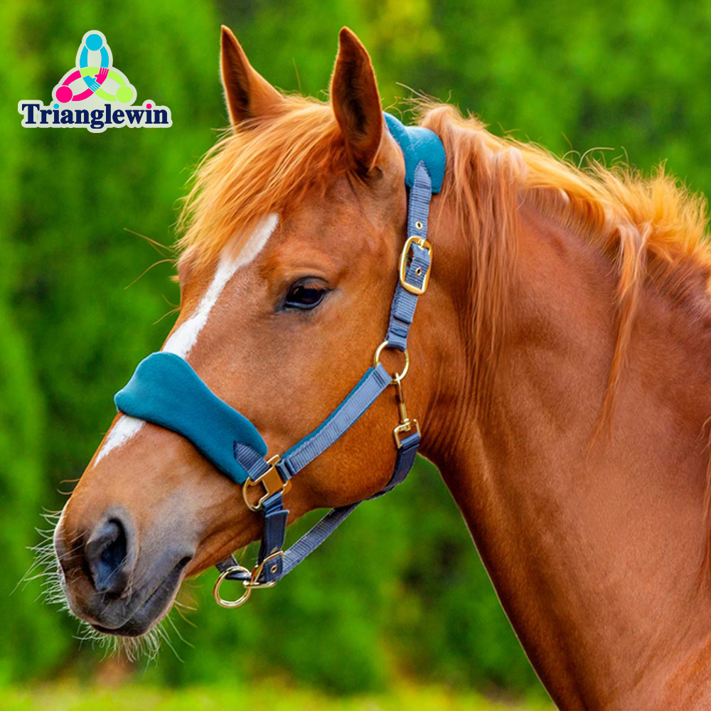 Custom Equestrian Supplies Horse Equipment Polypropylene Available Horse Halter with lead Rope in All colors