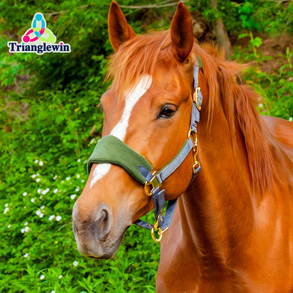 Trianglewin Equine Supplies Horse Care Supplies  Horse Riding Equipment Equestrian accessories