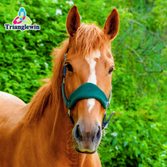 Wholesale Customize Horse Halters / Equestrian Equine Products  Customize Equip