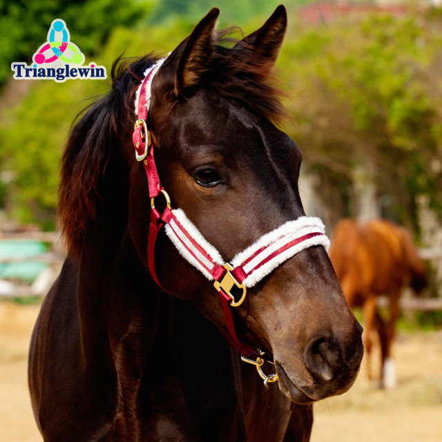 Customized horse Equine head collar  Soft Fleece padded horse Riding haleter  Horse halters and lead ropes