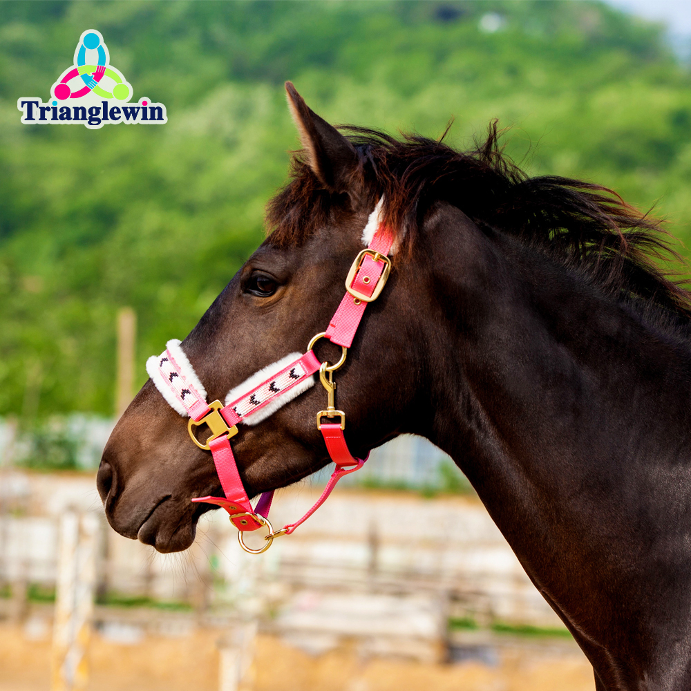 Horse Headcollars &  Personalized Halters For Horses Equine Sports