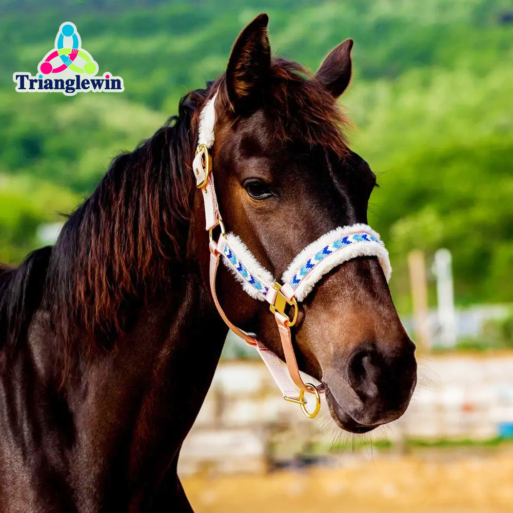 Professional Factory Equine products Premium Quality Horse Halter & Horse Headcollars Custom Equestrian Equipment