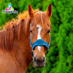 Custom Equestrian Supplies Horse Equipment Polypropylene Available Horse Halter with lead Rope in All colors