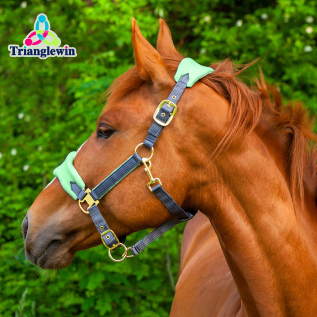 Horse Lead Ropes / Halters & Headcollars /Personalized Halters For Horses