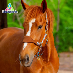 Best Quality Equestrian Horse Headcollar Customized logo Horse Halters