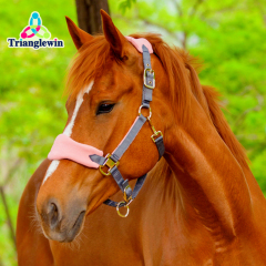 TOP Selling Customizable Equestrian Horse Halter & Headcollars Equine Supplies Horse Riding Equipment