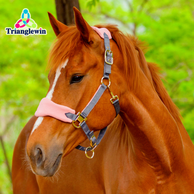 TOP Selling Customizable Equestrian Horse Halter & Headcollars Equine Supplies Horse Riding Equipment