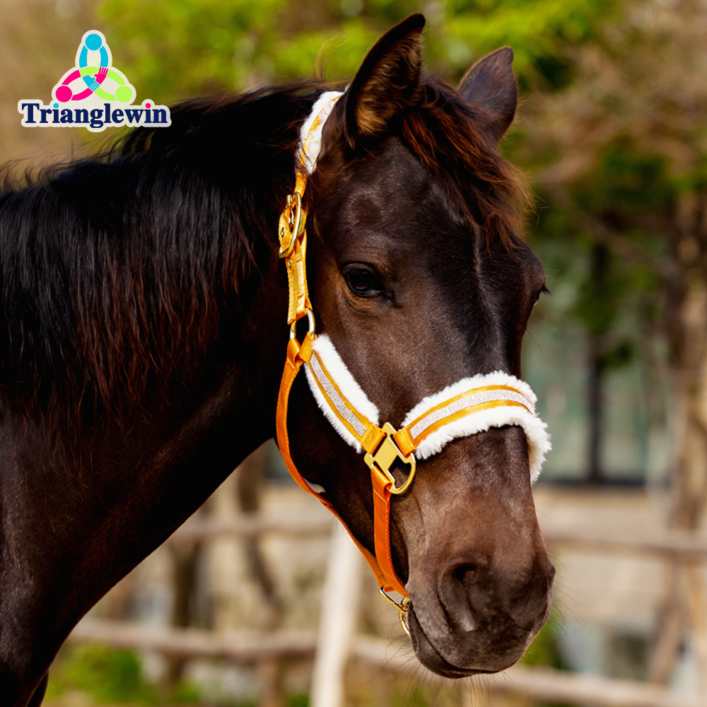 Customized horse Equine head collar  Soft Fleece padded horse Riding haleter  Horse halters and lead ropes