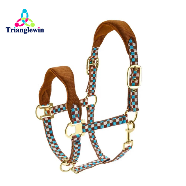 Custom Horse Halters  Personalized Horse Halters  Equestrian Supplies