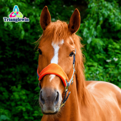 Horse Equipment Equestrian Headcollars /  Custom Horse Riding Halter /  Horse Harness Eequestrian Headcollar