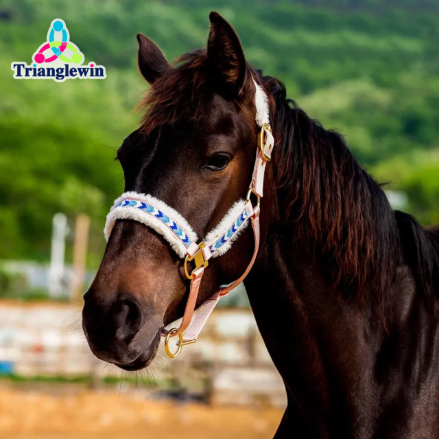 Halters & Headcollars For Horses horse halter size guide Horse head wear Outdoor Supplies Wholesale horse supplies