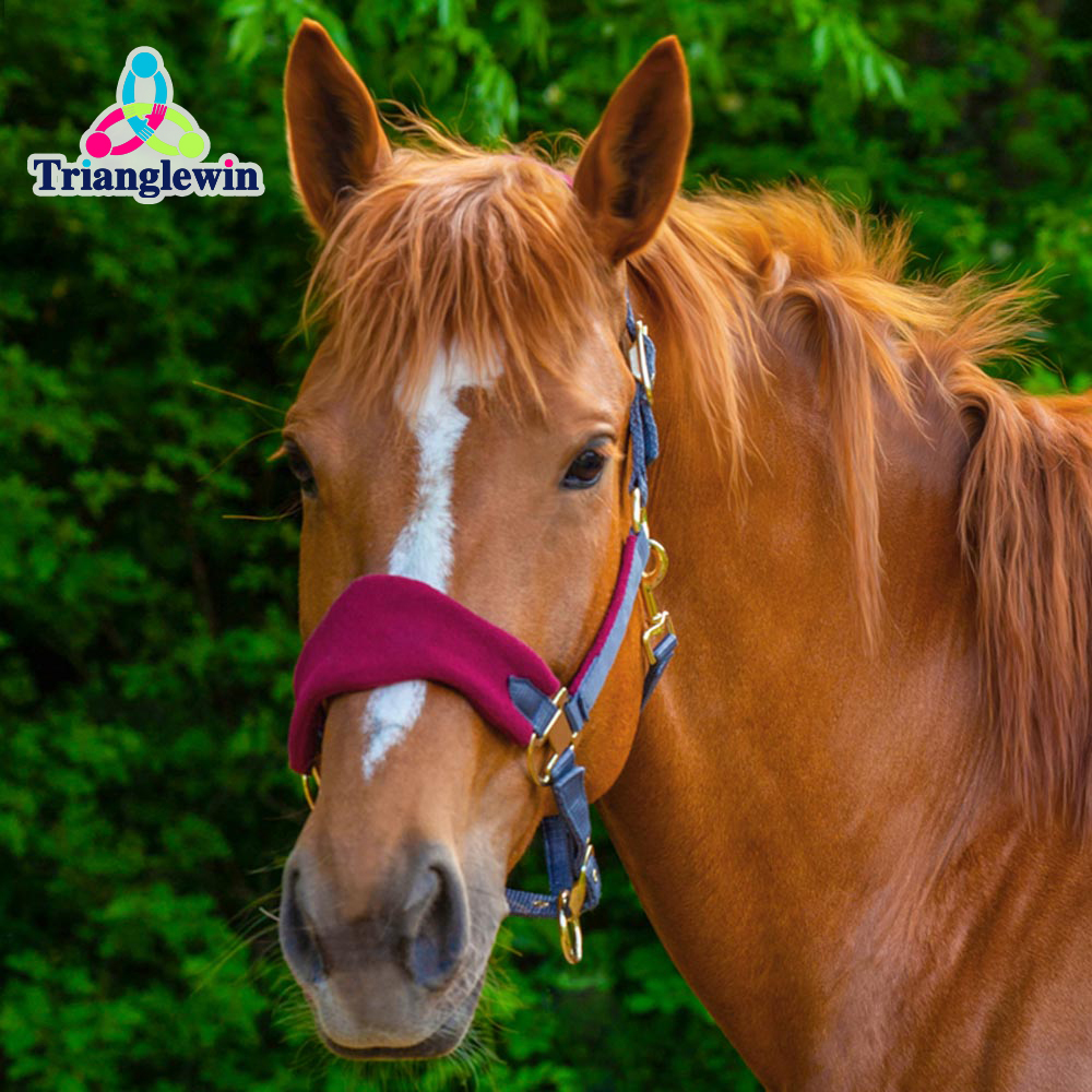 First Choice Horse Supplies  Horse Wear Horse Halters