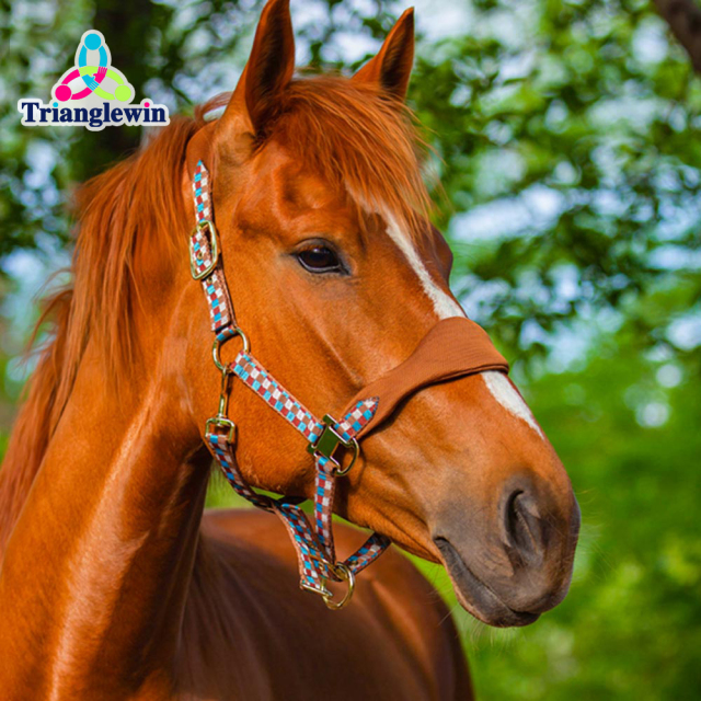 Best Quality Equestrian Horse Headcollar Customized logo Horse Halters