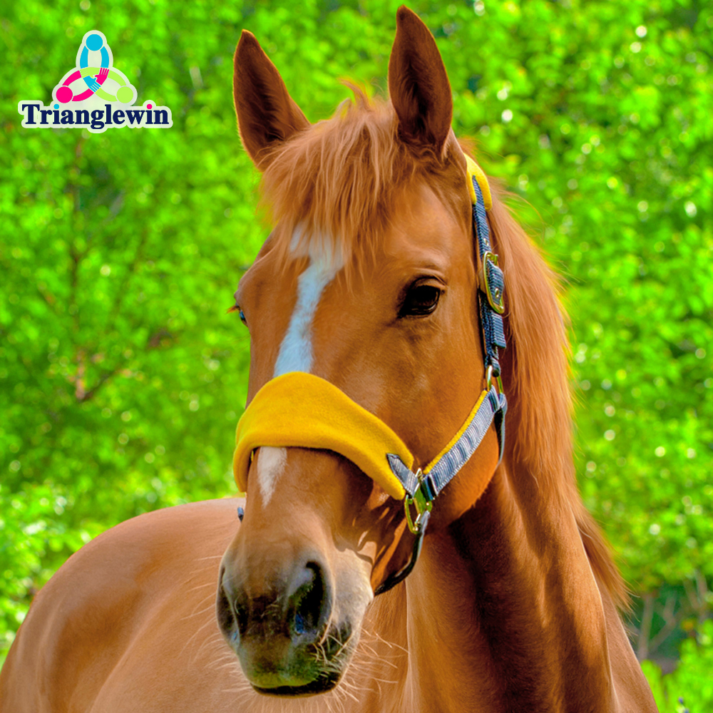 High Quality Customized Logo Horse Halter / Headcollars For Horses