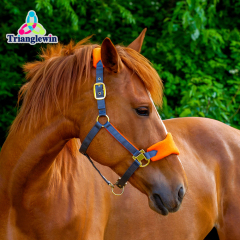 Halters & Headcollars for horses Sports & More  Equestrian Supplies & Factory