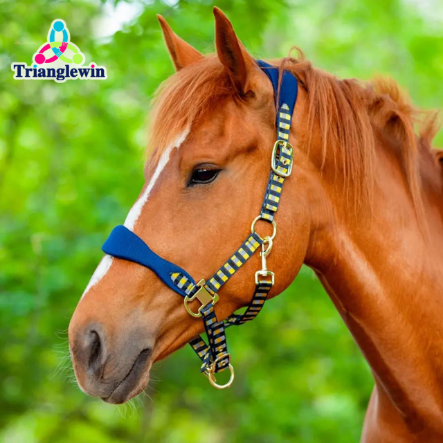 Horse Halters & Leads Equine and Equestrian Products Horse world Horse App Horse Items