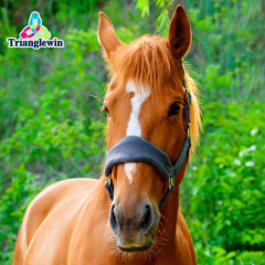 Equestrian Supplies & Horse Riding Equipment Equine Halters & Leads