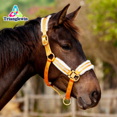 Halters & Headcollars for horses / Full horse halter Equestrian halters / Horse headcollars Horse Care Supplies