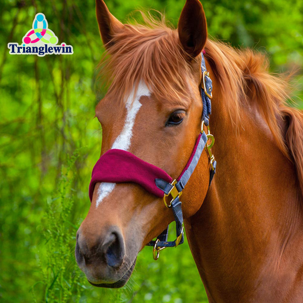 First Choice Horse Supplies  Horse Wear Horse Halters