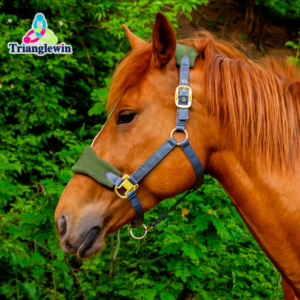Trianglewin Equine Supplies Horse Care Supplies  Horse Riding Equipment Equestrian accessories