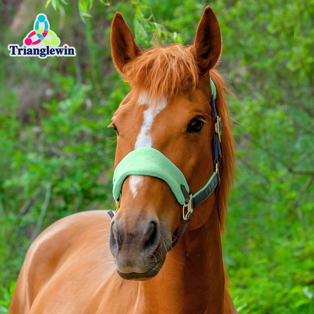 Horse Lead Ropes / Halters & Headcollars /Personalized Halters For Horses