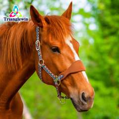 Best Quality Equestrian Horse Headcollar Customized logo Horse Halters
