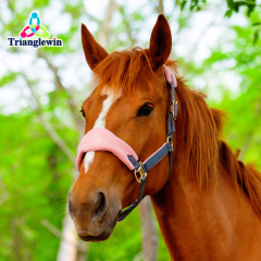 TOP Selling Customizable Equestrian Horse Halter & Headcollars Equine Supplies Horse Riding Equipment