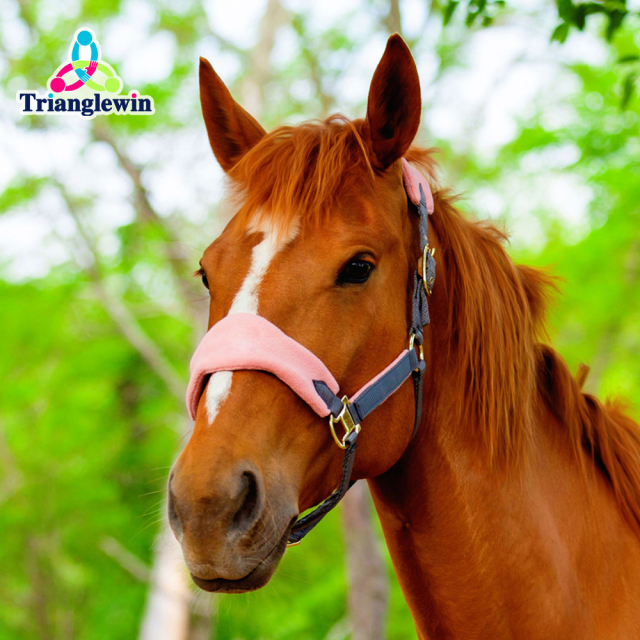TOP Selling Customizable Equestrian Horse Halter & Headcollars Equine Supplies Horse Riding Equipment