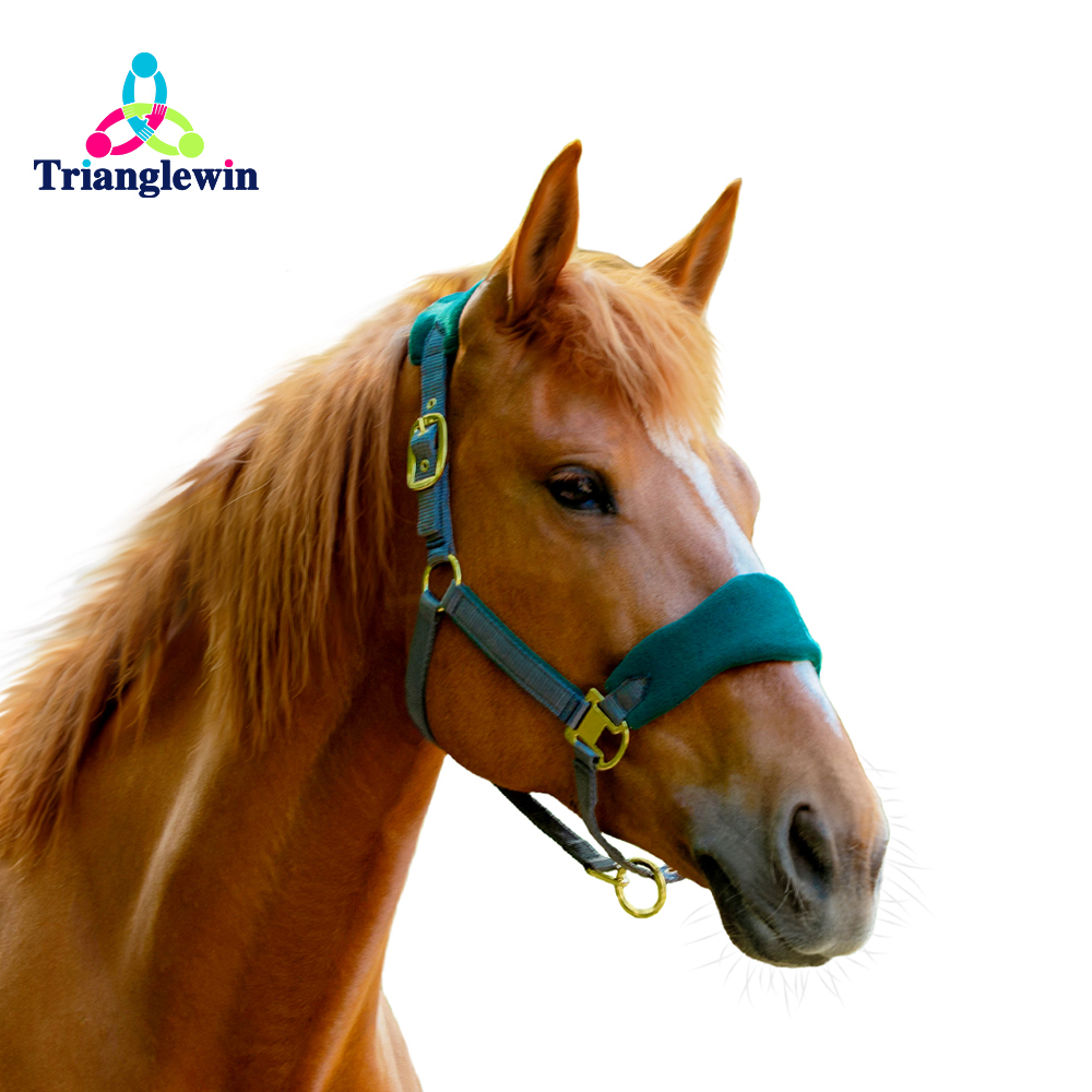 Wholesale Customize Horse Halters / Equestrian Equine Products  Customize Equip