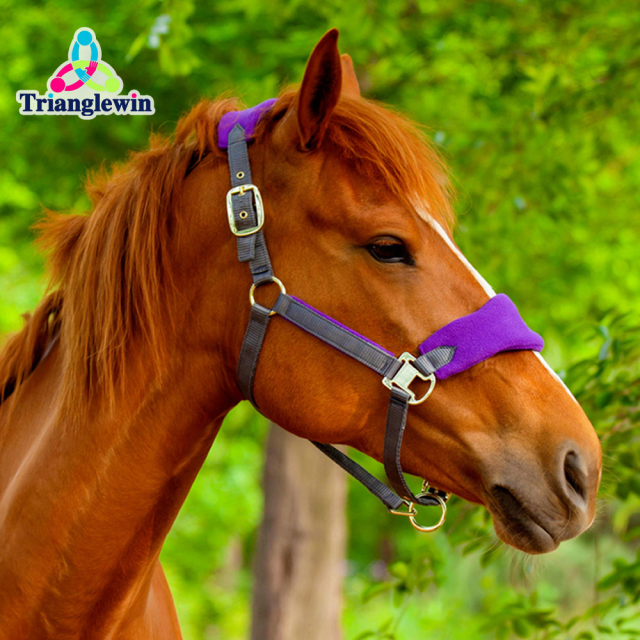 Halters & Headcollars for horses Sports & More  Equestrian Supplies & Factory