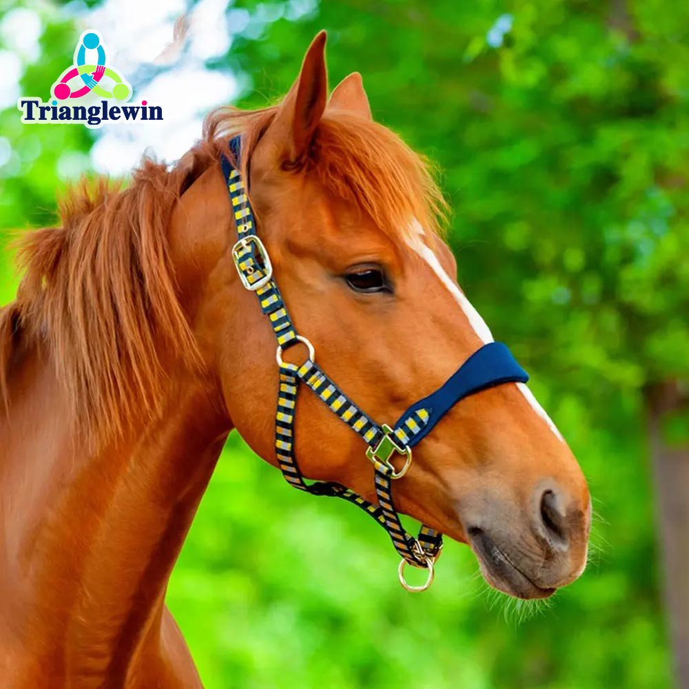 Horse Halters & Leads Equine and Equestrian Products Horse world Horse App Horse Items