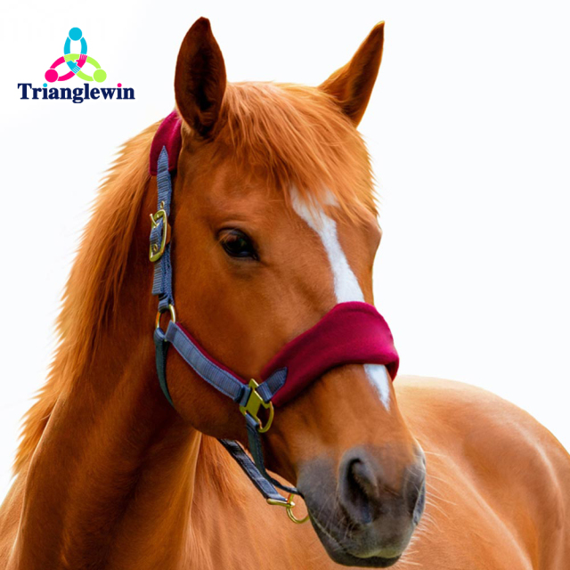 First Choice Horse Supplies  Horse Wear Horse Halters