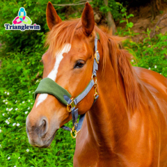 Trianglewin Equine Supplies Horse Care Supplies  Horse Riding Equipment Equestrian accessories