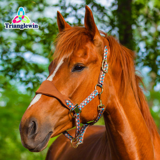 Best Quality Equestrian Horse Headcollar Customized logo Horse Halters