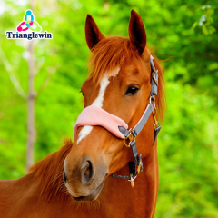 TOP Selling Customizable Equestrian Horse Halter & Headcollars Equine Supplies Horse Riding Equipment