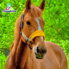 High Quality Customized Logo Horse Halter / Headcollars For Horses