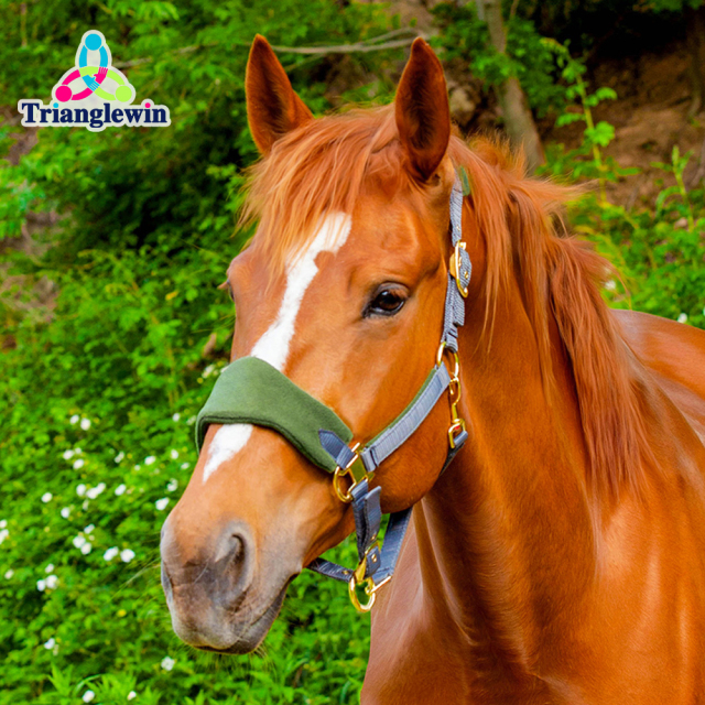 Halters & Headcollars for horses Sports & More  Equestrian Supplies & Factory
