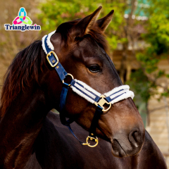 Customized horse Equine head collar  Soft Fleece padded horse Riding haleter  Horse halters and lead ropes