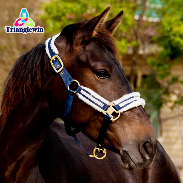 Customized horse Equine head collar  Soft Fleece padded horse Riding haleter  Horse halters and lead ropes