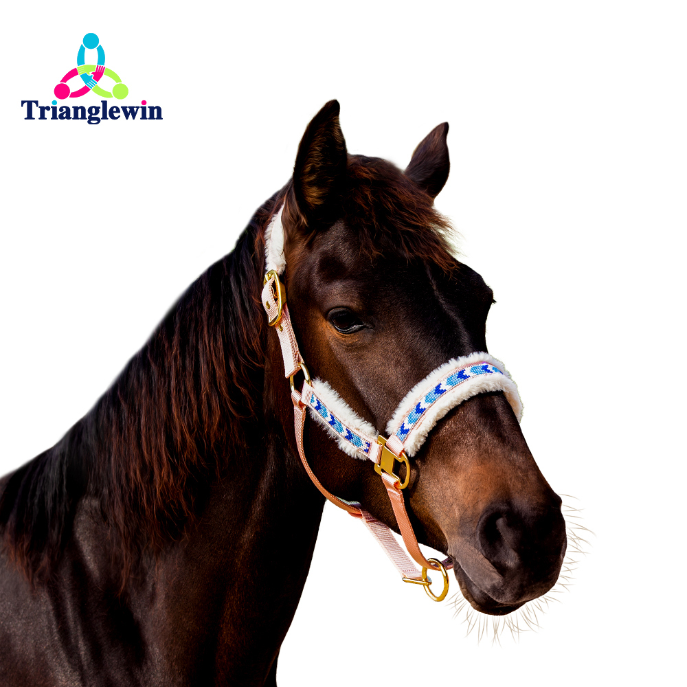 Halters & Headcollars For Horses horse halter size guide Horse head wear Outdoor Supplies Wholesale horse supplies